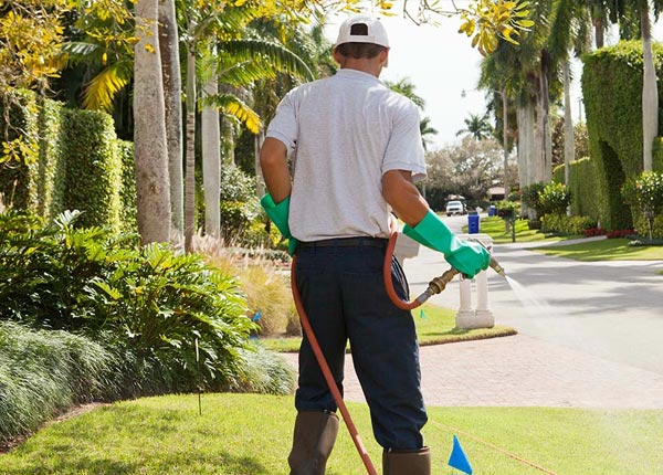 About Osseo MN Pest Control Pros